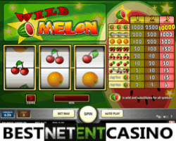 How to win at Wild Melon video slot