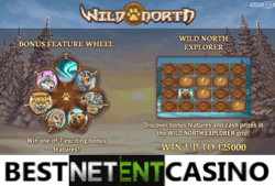 How to win at Wild North video slot