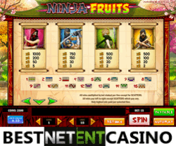 How to win at Ninja Fruits video slot