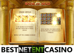 How to win at Book of Dead video slot