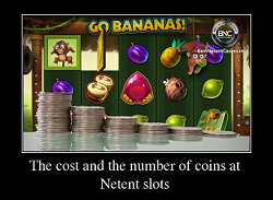 The cost and the number of coins at pokies