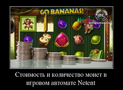Стоимость и количество монет в игровом автомате Netent