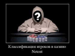 Классификация игроков в казино Netent