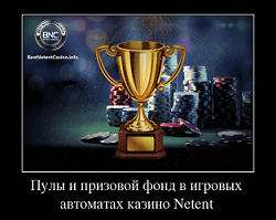 Пулы и призовой фонд в игровых автоматах казино Netent
