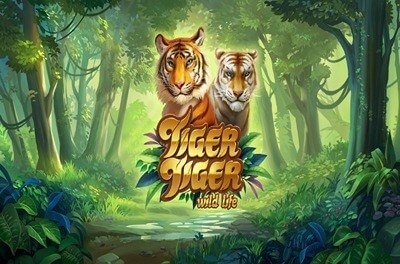 tiger tiger wild life slot logo