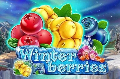 winterberries slot logo