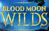 blood moon wilds слот лого