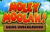 moley moolah going underground slot logo