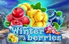 winterberries slot logo